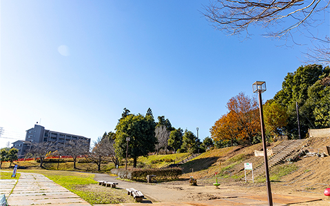 公津の杜公園